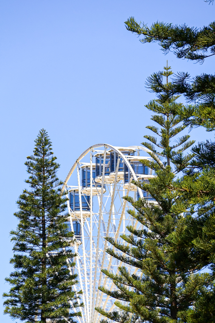 Perth business photographer - corporate event photography in Fremantle, Western Australia